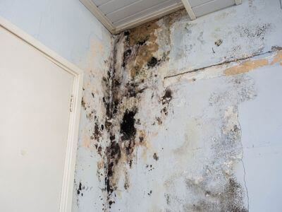 About Sightline Homes - water damage restoration experts in Renton